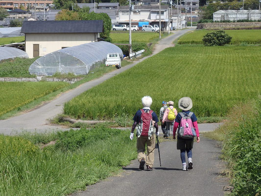 サークル活動 奈良シニア大学